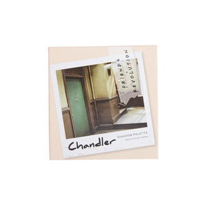 Freunde X Revolution Paleta de Sombras Chandler - Revolution - Make Up Revolution - 2