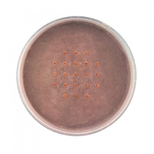 Mineral Puder Foundation - Technic - Technic Cosmetics : Honey - 2