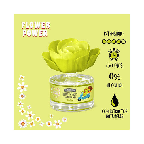 Melone duftende Blume - The Fruit Company - 1