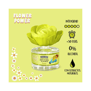 Melone duftende Blume - The Fruit Company - 2