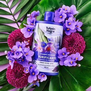 Reinigendes Mizellen-Shampoo - Tulipan Negro - 2
