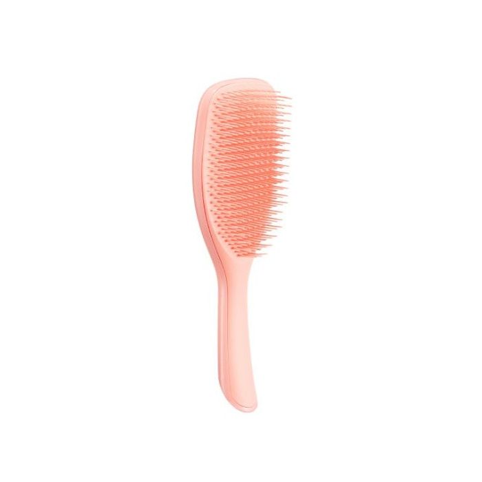 Cepillo der Große Nassentwirrer - Tangle Teezer - 1