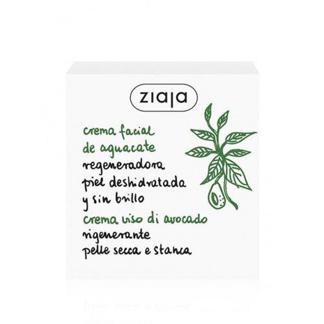 Regenerierende Gesichtscreme für dehydrierte und fahle Haut - Avocado 50 ml - Ziaja - 1