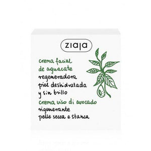 Regenerierende Gesichtscreme für dehydrierte und fahle Haut - Avocado 50 ml - Ziaja - 1