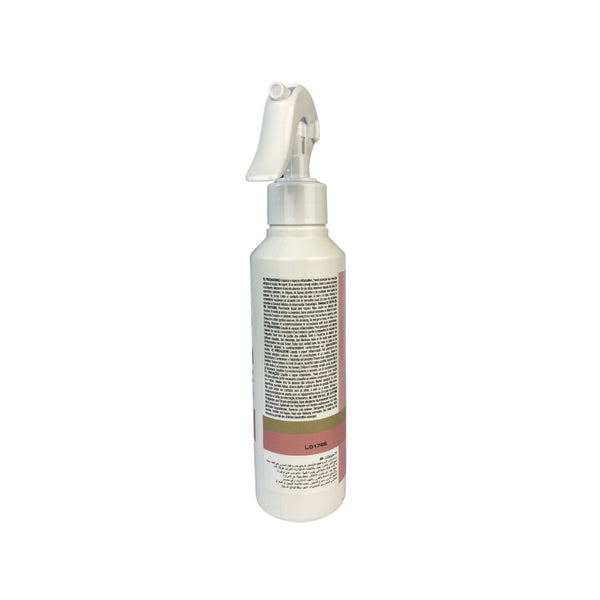 Raumspray für Zuhause - Prady : Oh My Bag! - 2