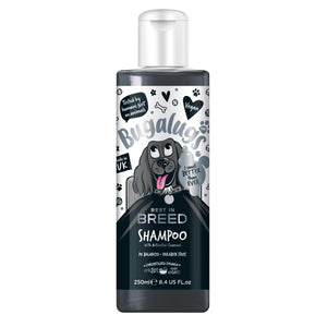 Best in Breed Aktivkohle Hundeshampoo - Bugalugs : 250ML - 1