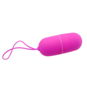 Pretty Love Vibro-Ei Arvin Fernbedienung 12V - Flirtation - 3