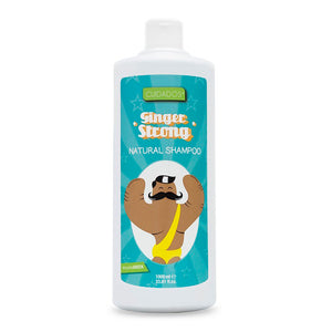 Champu Ingwer stark 1000ml - Valquer - 1