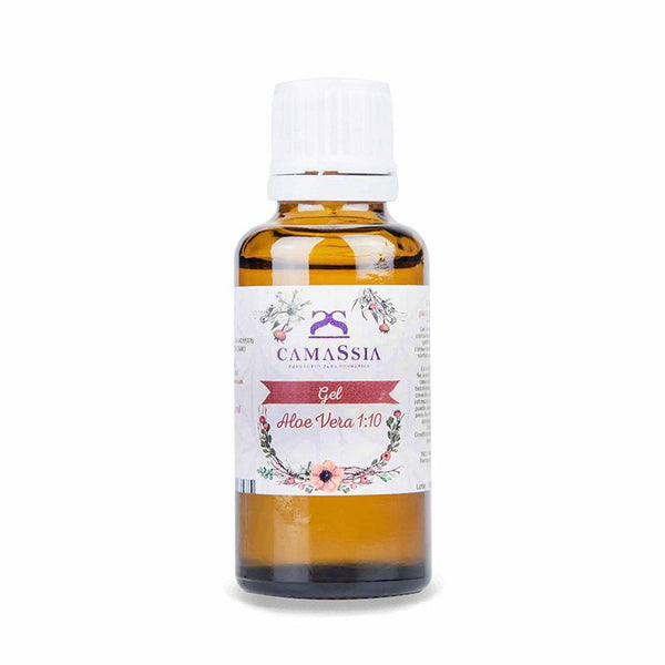 Reines Aloe Vera Konzentrat 1:10 - Camassia - 1