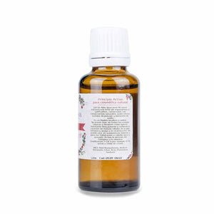Reines Aloe Vera Konzentrat 1:10 - Camassia - 2