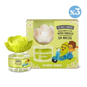 Pack 3x - Duftende Blume Melone - The Fruit Company - The Fruit Company - 1