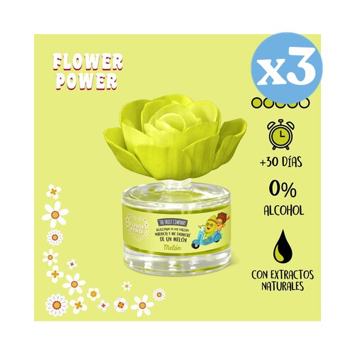 Pack 3x - Duftende Blume Melone - The Fruit Company - The Fruit Company - 2