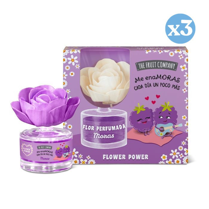 Pack 3x - Duftende Blume Brombeeren - The Fruit Company - The Fruit Company - 1