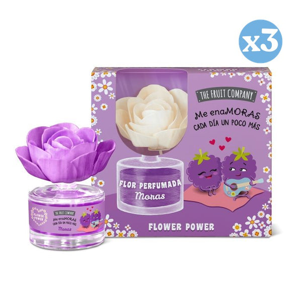 Pack 3x - Duftende Blume Brombeeren - The Fruit Company - The Fruit Company - 1