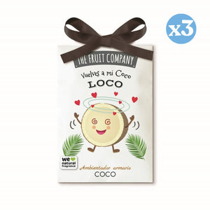 3er Pack - Closet-Duftspender Kokosnuss - The Fruit Company - The Fruit Company - 1