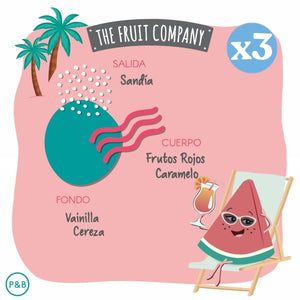 Pack 3x - Allzweck-Sprühlufterfrischer - The Fruit Company - 3