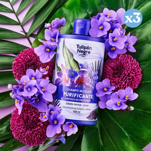 3er Pack - Purifying Micellar Shampoo - Tulipan Negro - 2