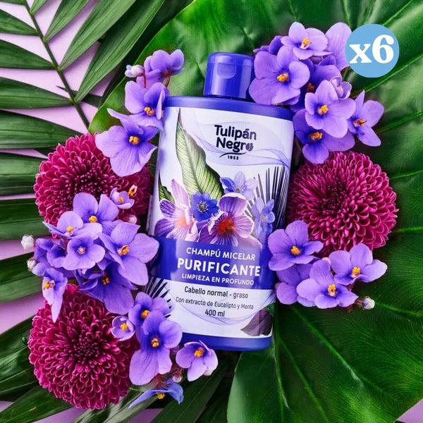 6er Pack - Klärendes Mizellen-Shampoo - Tulipan Negro - 2