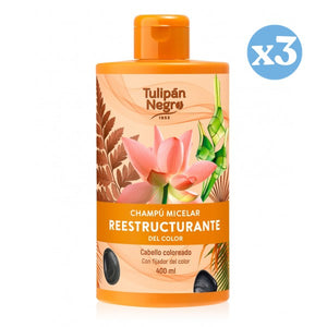 3er Pack - Farbaufbauendes Mizellen-Shampoo - Tulipan Negro - 1