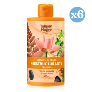Pack 6x - Farbauffrischendes Mizellen-Reparaturshampoo - Tulipan Negro - 1