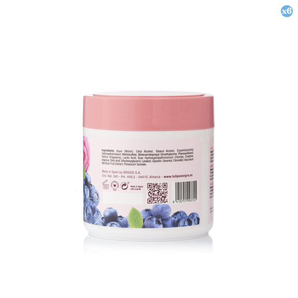 Pack 6x - MICELLAR-MASKE TN REPARATUR UND SCHÜTZEN 400ML - Tulipan Negro - 2