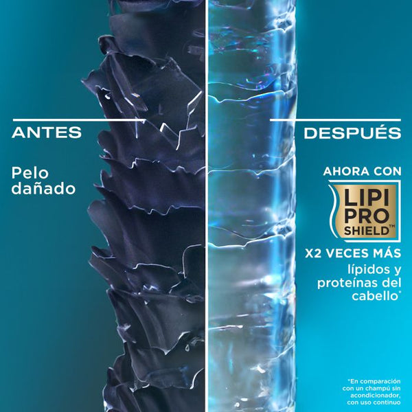 Erneuerndes Shampoo mit marokkanischem Arganöl - Ogx - 3
