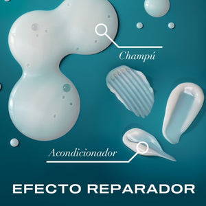 Erneuerndes Shampoo mit marokkanischem Arganöl - Ogx - 5