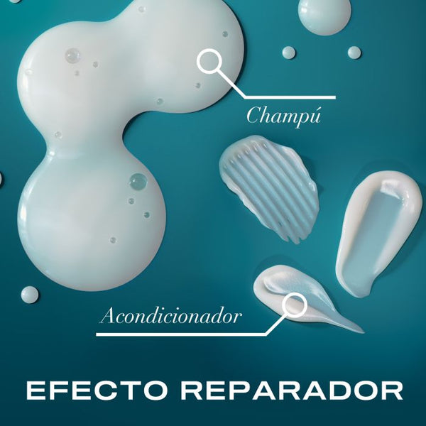 Erneuerndes Shampoo mit marokkanischem Arganöl - Ogx - 5